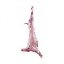 Goat Meat Carcass